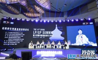 2020年，政府引導(dǎo)基金如何投GP